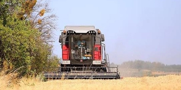 Bayraktar: Buğdayda yaklaşık 20,5 milyon ton üretim bekleniyor! Müjdeyi resmen duyurdu