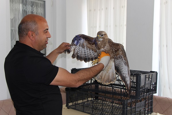 Bayram misafiri şahine neler neler ikram ettiler