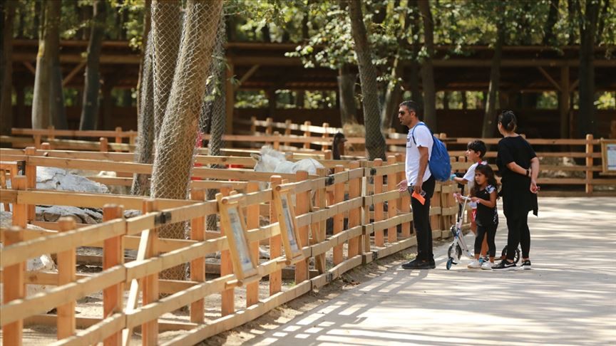 Bayram tatilinde milli park ziyaretçisi 4 milyonu aştı!