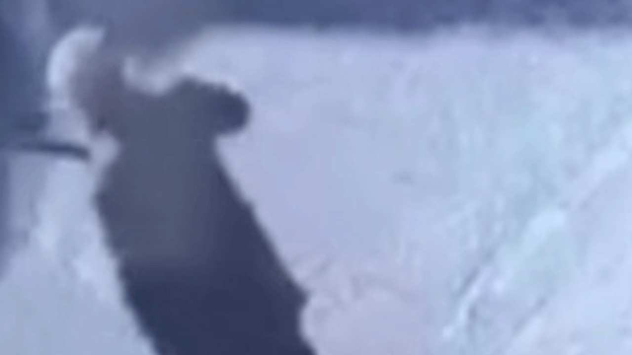 Bayrampaşa'da feci kaza kamerada! Talihsiz adam böyle savruldu!