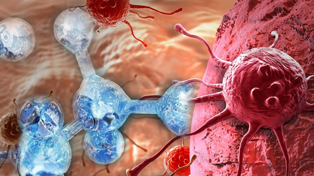 'Bazı amino asitleri kesmek kanser tedavisine yardımcı olabilir'