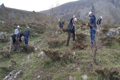 Bingöl’de yaban hayvanları destekleniyor
