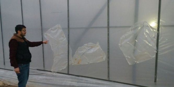 Çiftçinin serasına girdiler!