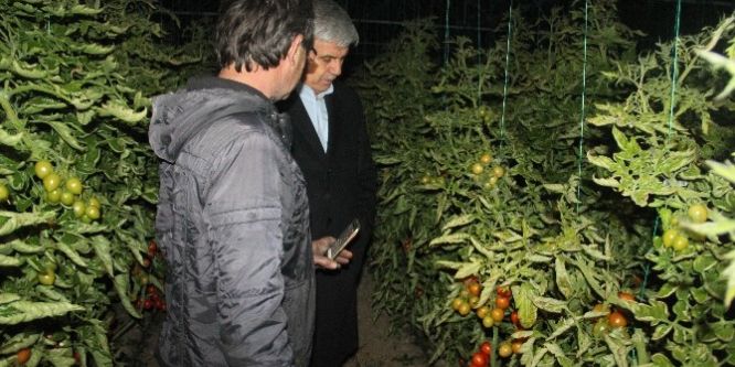 Başkan Çalık çiftçilerle seralarda don nöbeti tuttu