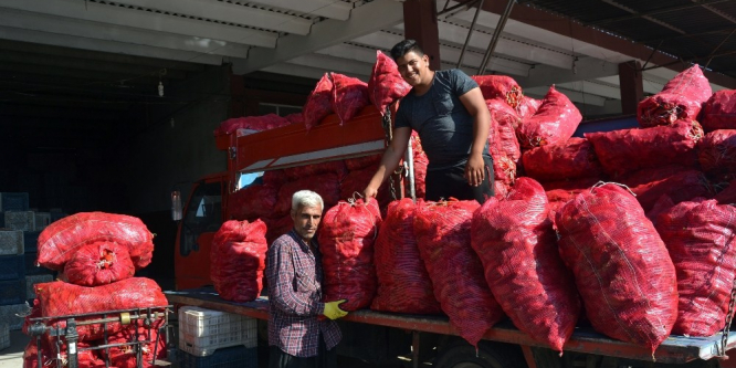 Adana’da sezonun ilk salçalık biber satışlarına başlandı