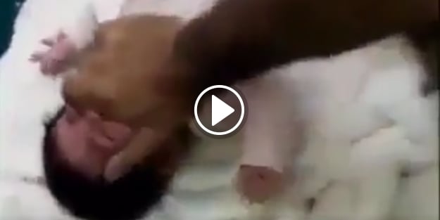 Bebeğe korkunç şiddet!
