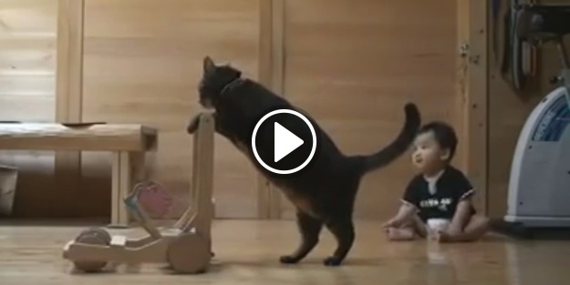 Bebeğe yürümeyi öğreten kedi!