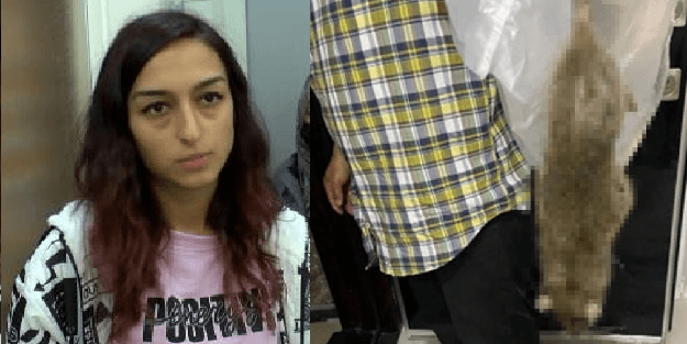 Bebeğin beşiğinde görünce dehşete kapıldılar!