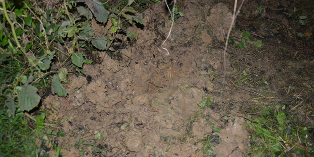 Bebeğini çatıda sakladı sonra torbanın içinde gömdü! Cani annenin ifadesi ortaya çıktı