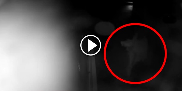 Bebeğini denize atan cani kadın kamerada!