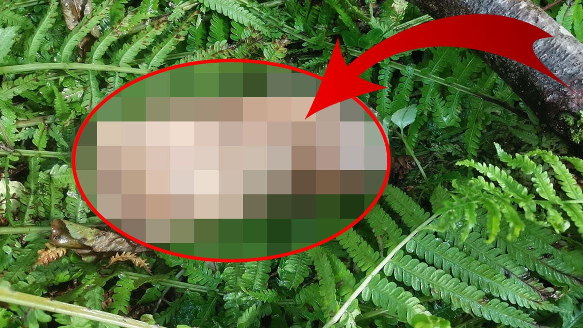 Bebek falan değil! Dere kenarında bulundu, mahalle ayağa kalktı! Belediye, hoparlörlerle vatandaşları DNA testine çağırdı