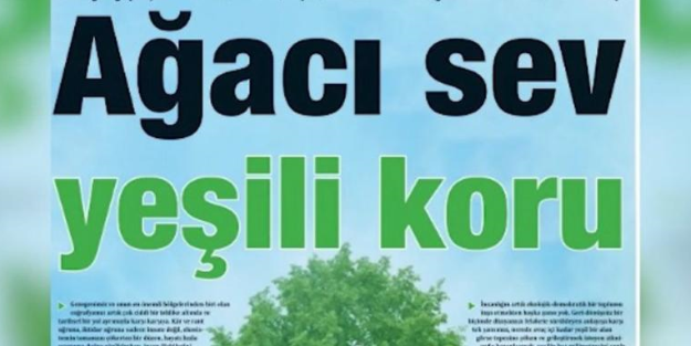 Bebek katilinin Ağaç sevgisi!..