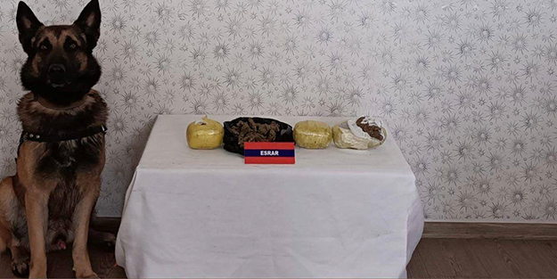 Bebek maması kutusundan çıkan şoke etti