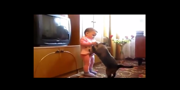 Bebekle anne kedinin kavgası - VIDEO