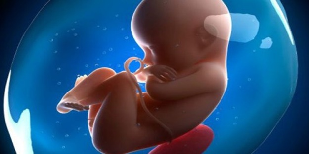 Bebeklerin damak lezzeti anne karnındayken oluşuyor