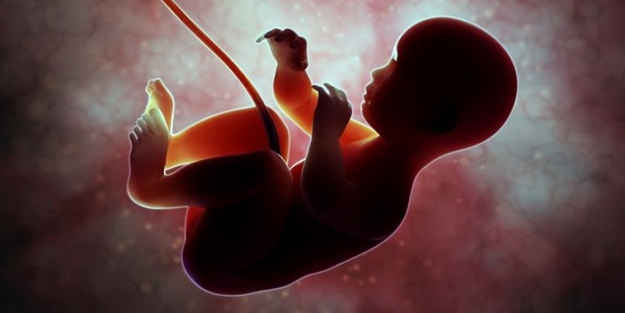 Bebeklerin plasentasında ilk kez mikroplastik tespit edildi! 