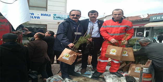 Bedava fidan dağıttılar