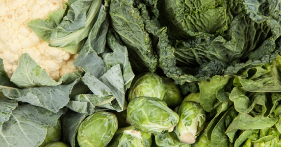 Bedenimiz için K vitamini neden önemli?