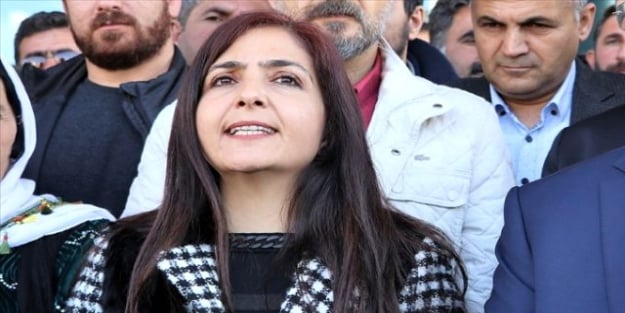 Bedia Özgökçe Ertan kimdir? Bedia Özgökçe Ertan Van belediye başkanlığı görevinden neden alındı?