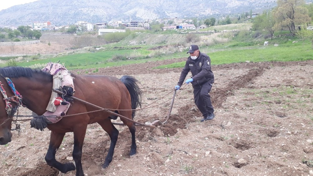 Bekçi, kara sabanla tarla sürdü 