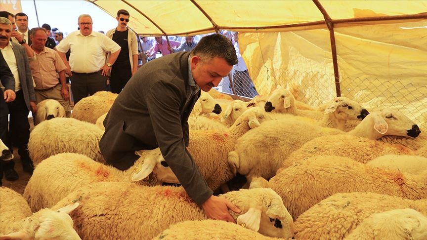 Bekir Pakdemirli: Kurban pazarlarında her türlü tedbiri aldık
