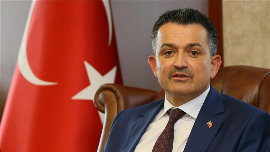 Bekir Pakdemirli: Kurbana hazır büyükbaş hayvan mevcudumuz 1,2 milyondur
