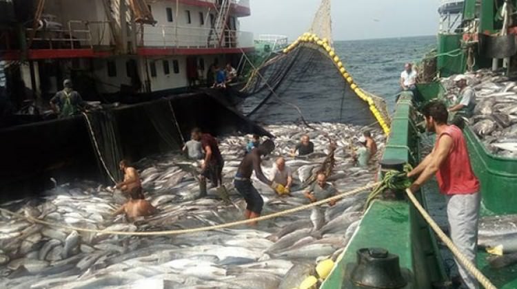 Beklentiler olmayınca rota değişti