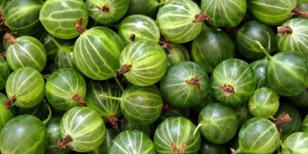 Bektaşi üzümünün yararları nelerdir?