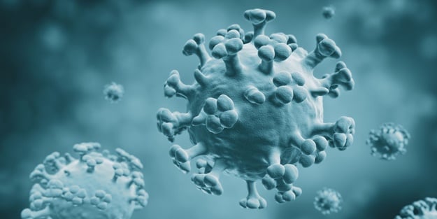 Belçika'dan grip açıklaması: Gerekli şartlar oluştu