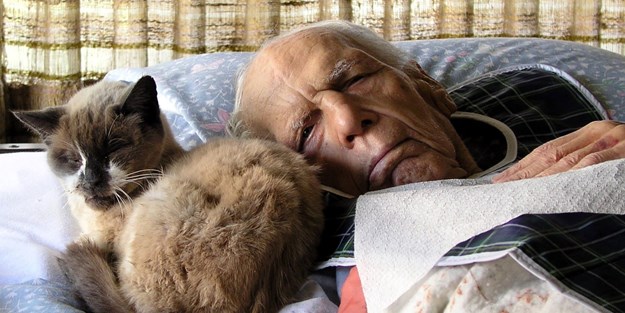 Burada hastalanmak yasak