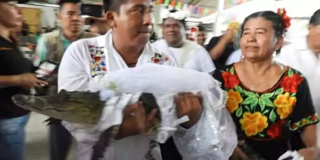 Belediye başkanı şans getirmesi için timsahla evlendi