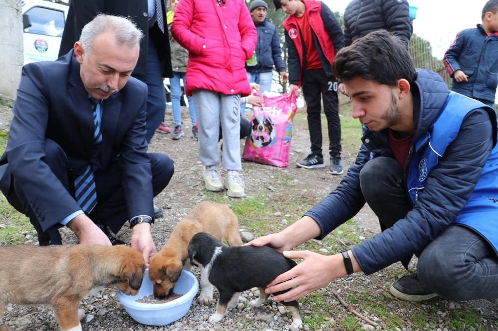 Belediye başkanı ve gönüllüler yavru köpekleri elleriyle besledi 