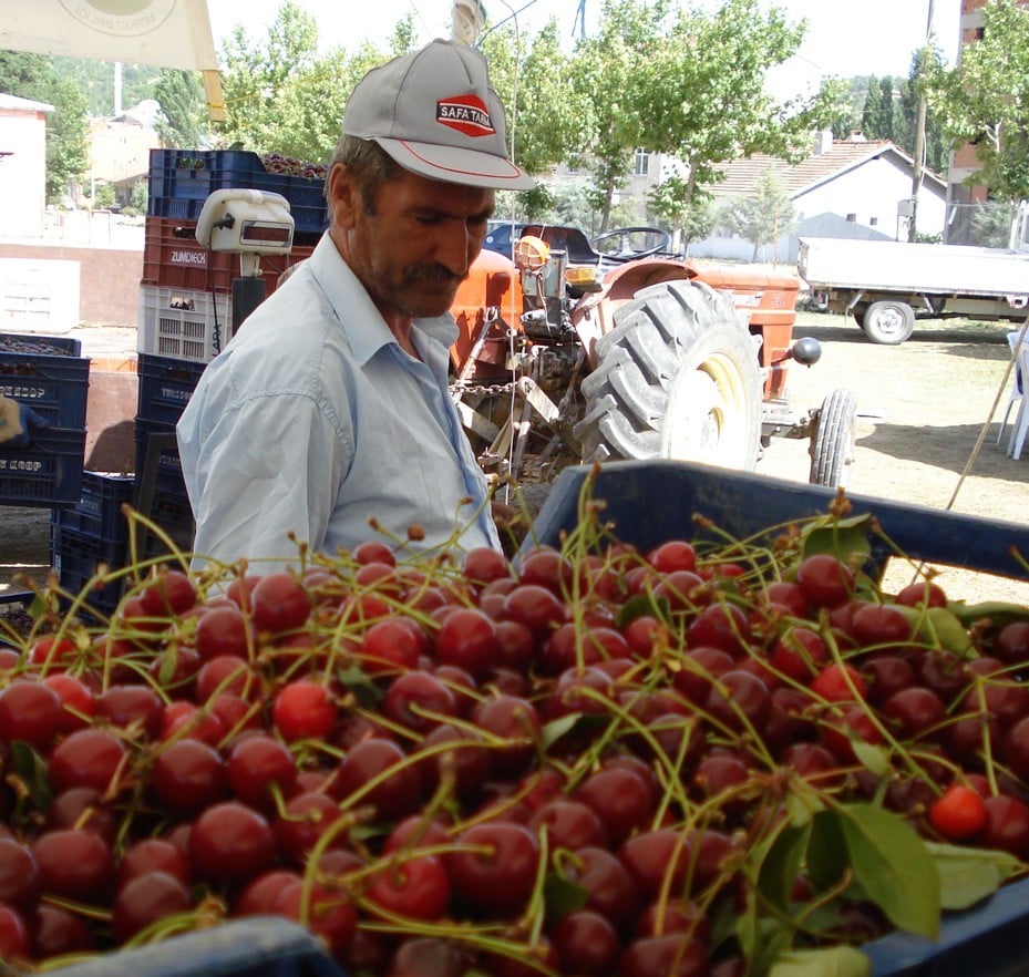 Belediye başkanlarından vişne fiyatına tepki 