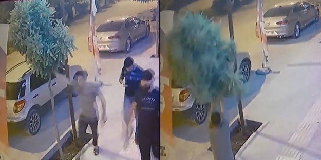 Belediye ifşa etti! Asılarak ağacı kıran şahıs gözaltına alındı
