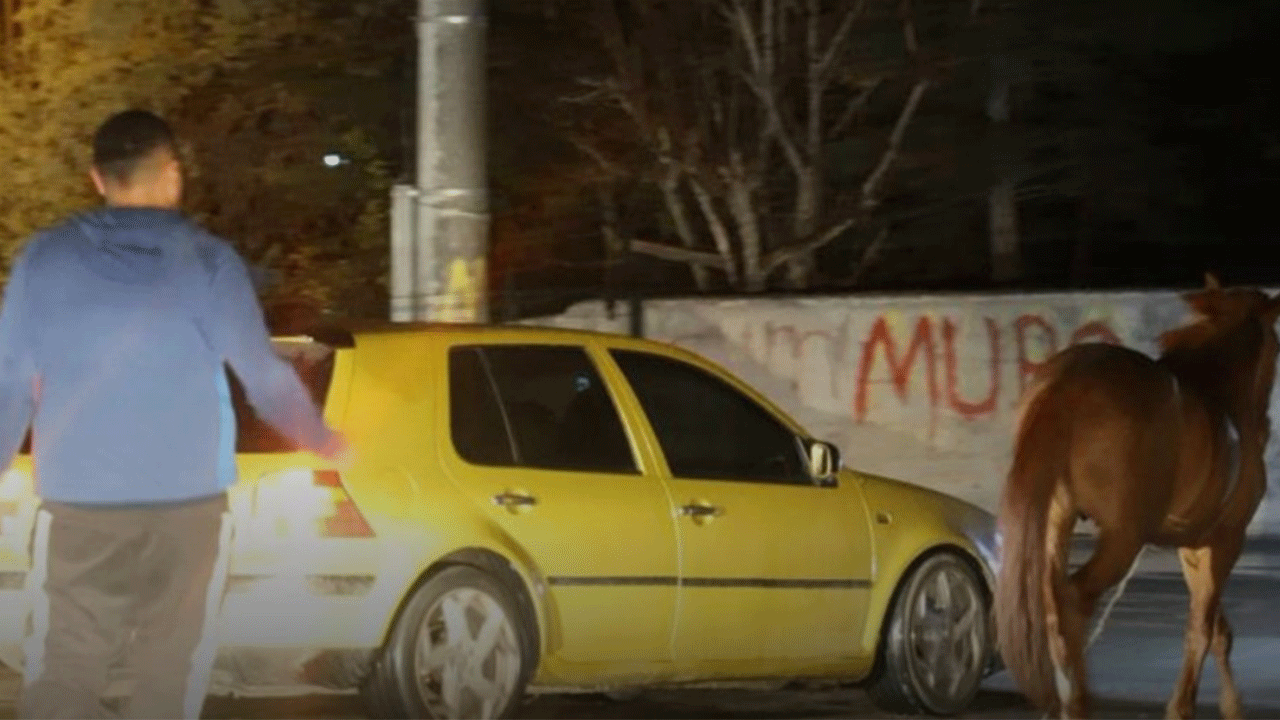 Belediyeden at ihbarı yapan vatandaşa ilginç cevap!