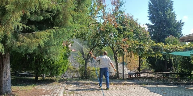 Belediyeden kritik uyarı: O ağaçlardan meyve yemeyin!