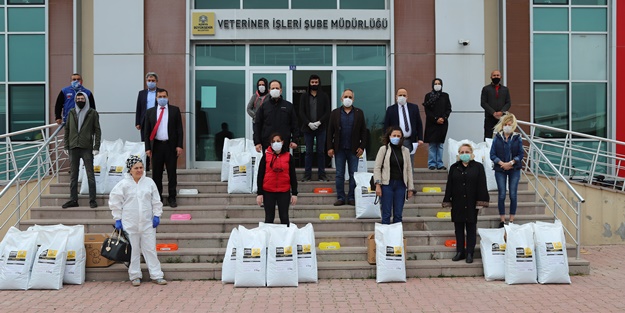 Belediyeden sokak hayvanlarına 50 ton mama desteği