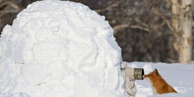 Belgeseller nasıl çekiliyor? - FOTO