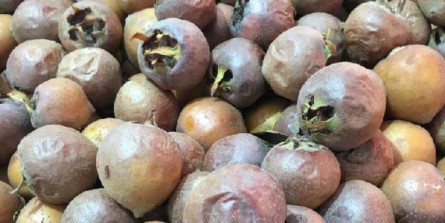 Belkide fiyatı pek değişmeyen tek meyve muşmula