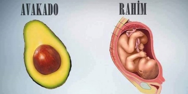 Benzedikleri organlara iyi geliyorlar! - FOTO