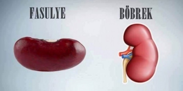 Benzedikleri organlara şifa oluyorlar!