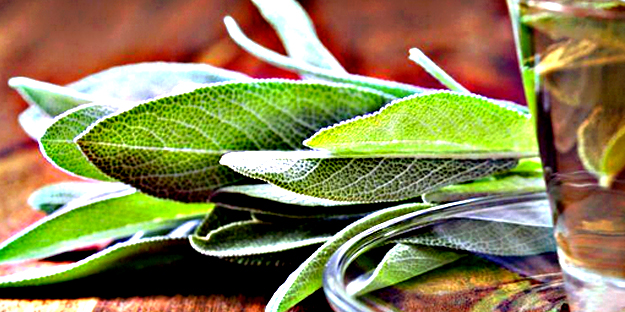 Beraber tüketmeyin felç edebiliyor: Duyanlar dehşete düşecek, şok olacak! Duyan duymayanlara haber etsin