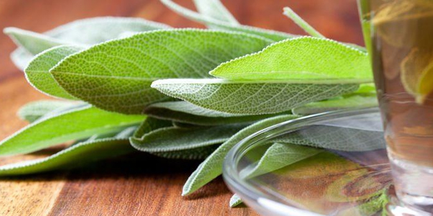 Beraber tüketmeyin felç edebiliyor: Kimse bilmiyor! Uzmanı ilan etti! İşte bunu yaparsanız... Mağdur olmayın