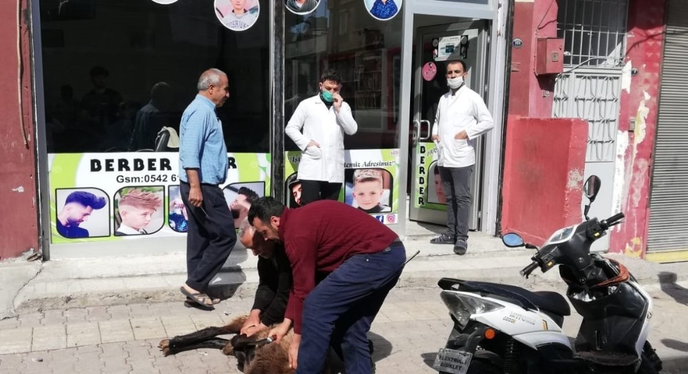 Berberler adak keserek iş yerlerini açtı 
