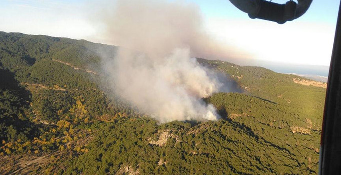 Bergama'da orman yangını çıktı