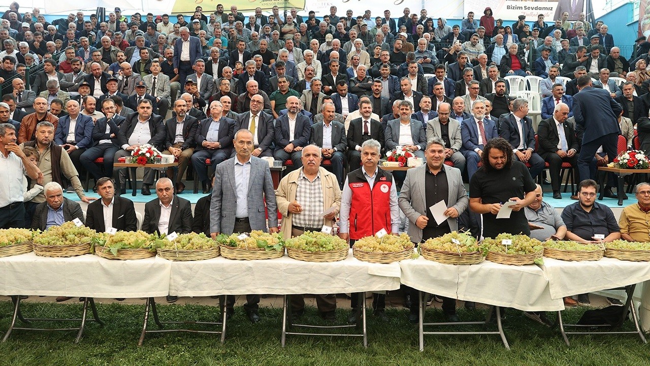 Bertiz'in en güzel üzümü seçildi