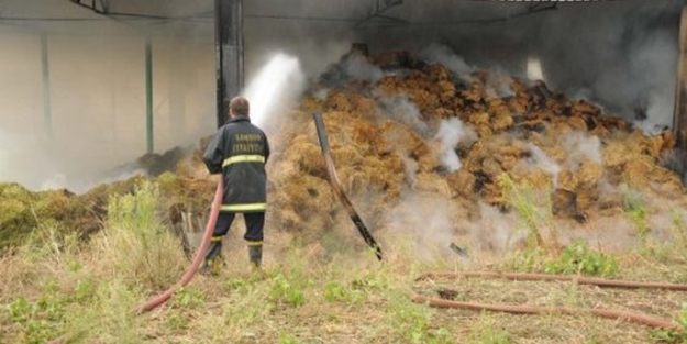 Besi çiftliğinde yangın. 200 ton saman kül oldu