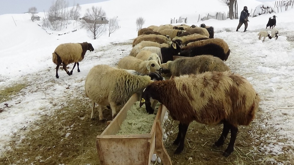 Besicilerin kış mesaisi 