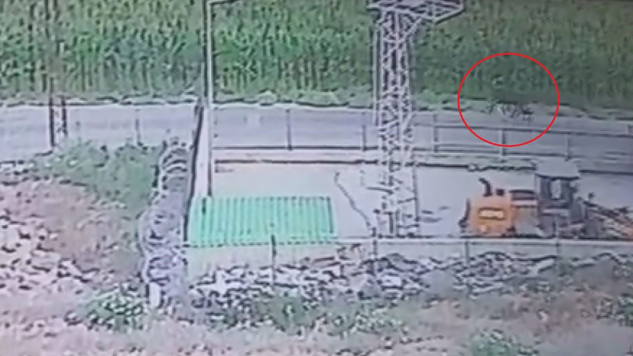 Besicinin çaresizliği kamerada! Hatay'da 300 bin liralık anguslar sırra kadem bastı