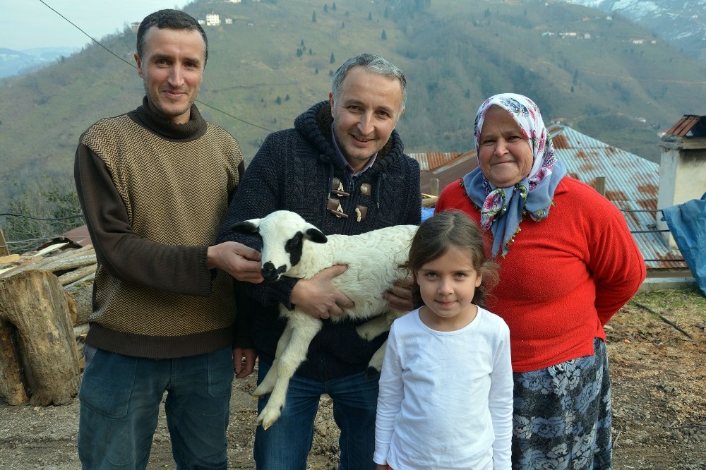 Besicinin ikiz ve üçüz kuzu sevinci 